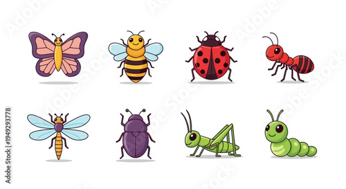 Cartoon insects set on white background