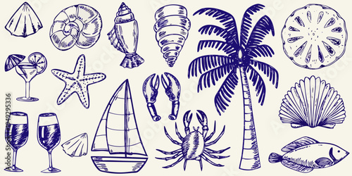 Vintage sketch of seashells marine life and coastal elements