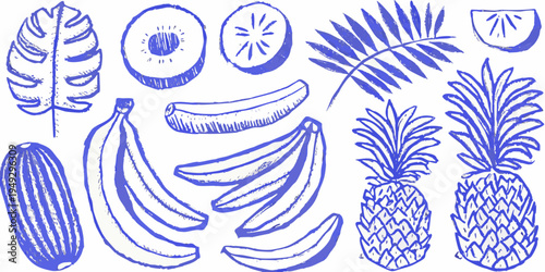 A collection of hand drawn tropical fruits and plants in blue