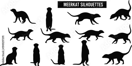 Meerkat silhouettes collection, standing and walking meerkat animal poses set, African wildlife mammal silhouettes isolated for safari nature design