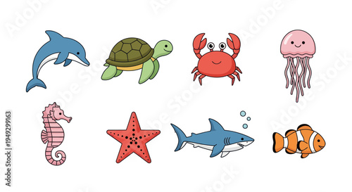 Cartoon sea animals collection