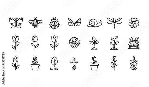 Spring garden insects and floral outline icons collection with minimalist hand drawn vector set