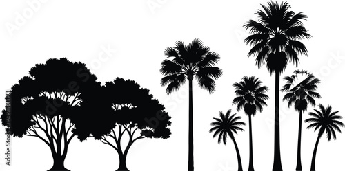 Broadleaf and palm tree silhouettes, diverse foliage vector illustration, botanical artwork design, landscape nature graphics, tropical forest shadow icons, 