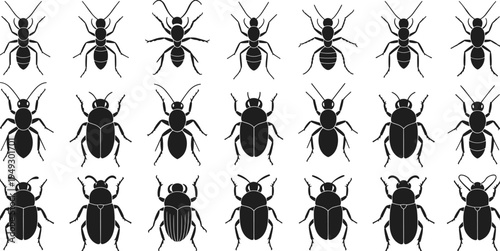 Black and white of various insects and bugs in a grid pattern