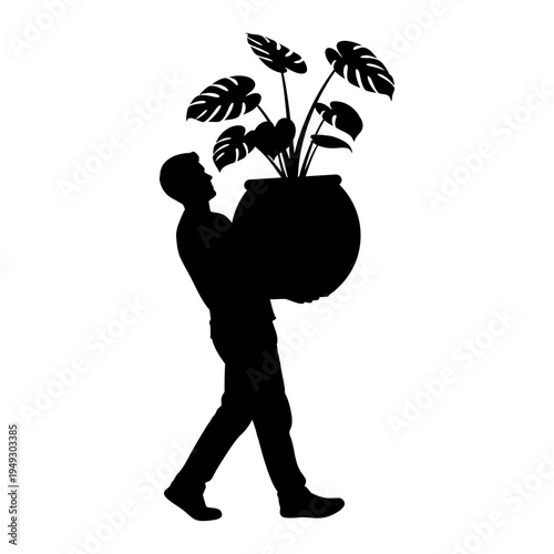 Silhouette of a man carrying a large potted monstera plant for home decoration, gardening, or moving house