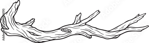 Natural Driftwood Tree Branch Line Art Vector Illustration For Eco Nature Botanical Design
