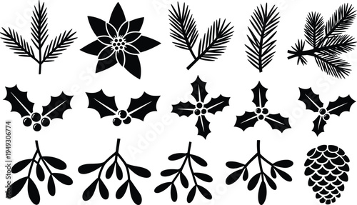 Christmas winter plants silhouette icon set with holly berries pine branches spruce needles poinsettia flower and pinecone for holiday design.