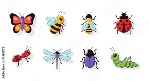 Colorful insects collection illustration