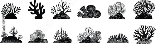 Black silhouette set of various underwater coral reef species and sea plants for marine life environment and tropical ocean design.