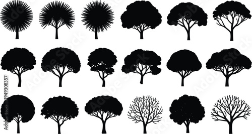 Comprehensive set of tree vector silhouettes featuring various species and shapes including palms, deciduous canopies, and bare winter branches for landscape architecture and environmental design.