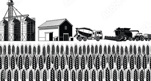 Agriculture wheat field harvest scene vector illustration, grain silo barn combine harvester tractor farm truck rural farming landscape and crop production concept