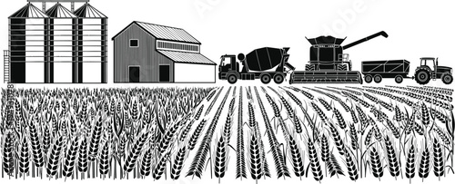 Agriculture wheat harvest landscape vector illustration, grain silos barn combine harvester tractor truck and rural farming field crop production scene