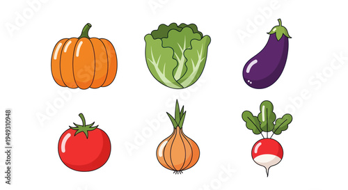 Colorful vegetables illustration on white