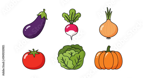 Colorful vegetables illustration on white