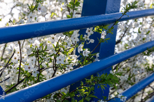 Wallpaper Mural Contrast Between Industrial Design And Gentle Spring Floral Display Appears In City Scenery. Modern Urban Environment Combines Architectural Elements With Blooming Outdoor Nature For Visual Harmony Torontodigital.ca