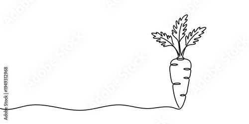 Continuous one line drawing of carrot vegetable. One line drawing vector illustration of carrot plant. Editable outline.