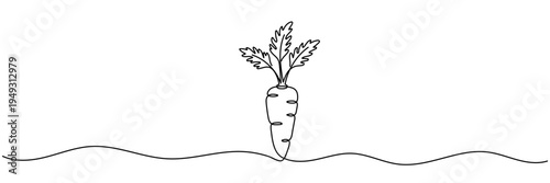 Continuous one line drawing of carrot vegetable. One line drawing vector illustration of carrot plant. Editable outline.