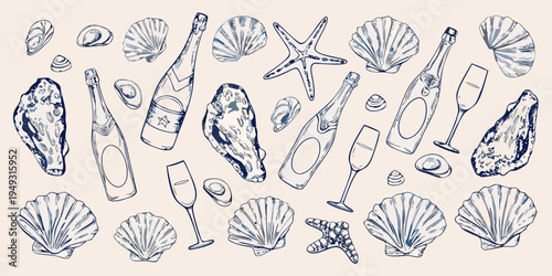 Sketch of seashells champagne bottles and glassware on a beige background