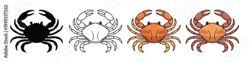 Four crab illustrations in outline, silhouette, and colored styles on white background vector art