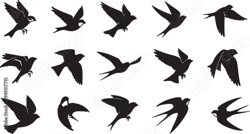 A collection of fifteen unique black silhouette illustrations of birds flying in various positions
