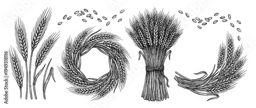Wheat ears wreath and sheaf in vintage engraving style