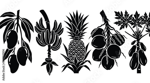 A set of five black silhouette illustrations shows tropical fruits like mango, banana, pineapple, coconut, and papaya on a white background.