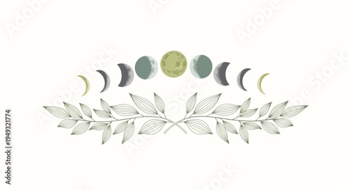 Moon phases with leafy branch illustration