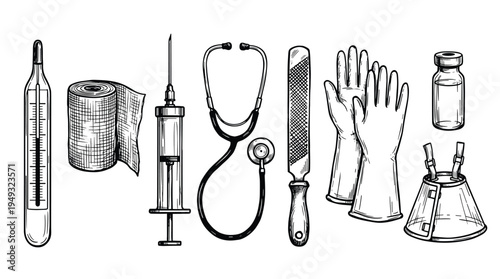 A collection of vintage-style, hand-drawn veterinary medical instruments including a stethoscope, syringe, and thermometer is shown on a white background.