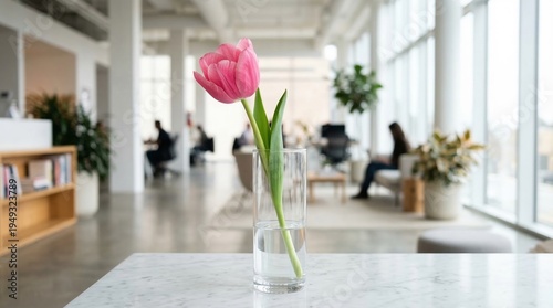 Fresh pink tulip in vase on table in modern office interior   Mother's Day