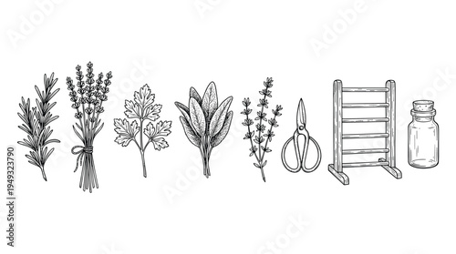 A collection of hand-drawn herbs and related items, including lavender, rosemary, and a drying rack, is illustrated in black and white.