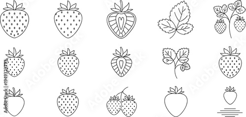 Strawberry Line Art Icon Set with Berry Fruits, Leaves and Hand Drawn Botanical Outline Illustrations for Food Packaging, Farm Labels and Organic Design