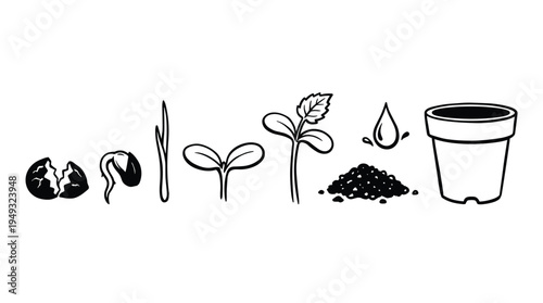 A hand-drawn sequence illustrating the stages of plant growth from a seed to a sprout, alongside soil and a pot, is shown on a white background.