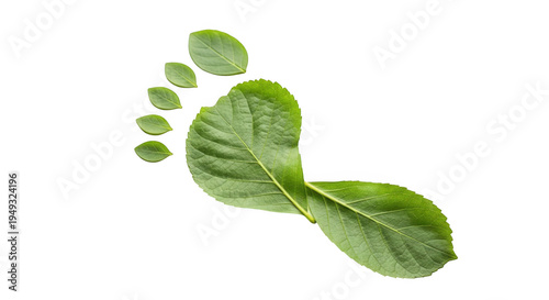 Single footprint formed by green leaves with eco friendly