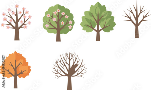 Four Seasons Tree Illustrations, Spring, Summer, Autumn, Winter