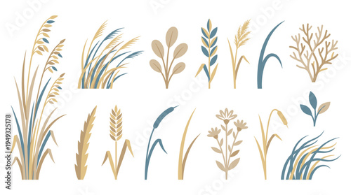 A diverse set of wild grasses, wheat, and reeds is illustrated in a simple, elegant style with a muted color palette.