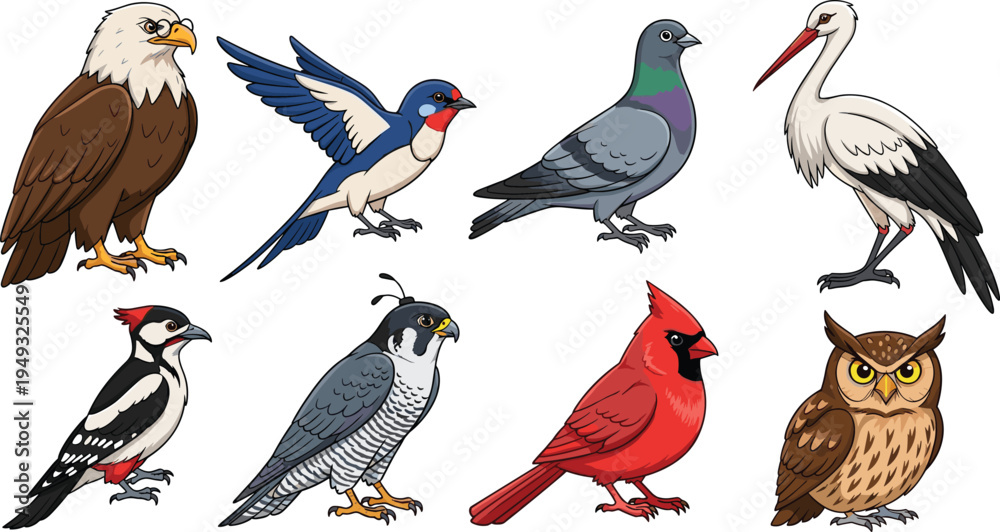 Fototapeta premium Bird species collection including eagle swallow pigeon stork woodpecker falcon cardinal and owl cartoon vector illustration set