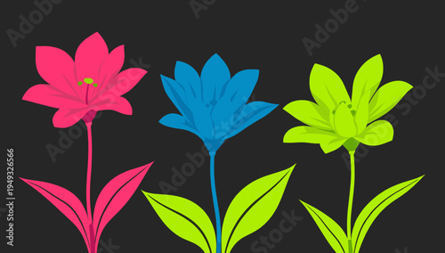 A striking image of a single pink flower against a dark background, evoking feelings of beauty and freshness. Ideal for minimalist designs or to repre