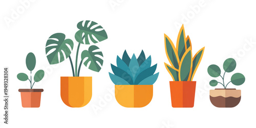 Set of five various indoor houseplants featuring monstera and succulent species in colorful pots Vector
