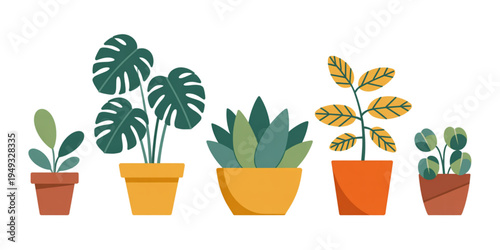 A collection of five different indoor house plants growing in colorful ceramic flower pots set Vector