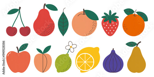 Collection of colorful hand drawn fruits including cherry pear orange strawberry apple and lemon Vector