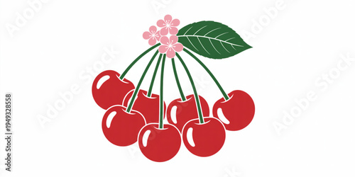 A cluster of ripe red cherries with a green leaf and delicate pink blossoms on long thin stems Vector