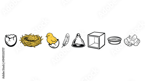 Eight line-art icons depicting the life cycle and care of a chick, including a nest, hatching egg, and heat lamp, are shown in a row.