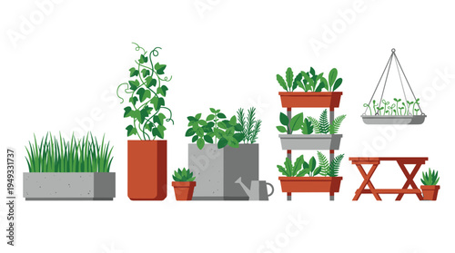 A set of various home garden plants and herbs in different pots and planters is isolated on a white background.