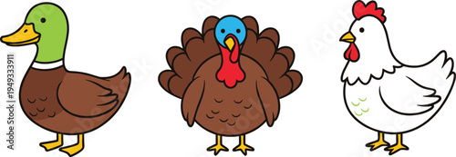 Cute Cartoon Farm Poultry Birds Set Duck Turkey Chicken Adorable Flat Illustration for Kids Animal Designs, Farmyard Clipart, Thanksgiving Holiday Graphics, and Vector Collections