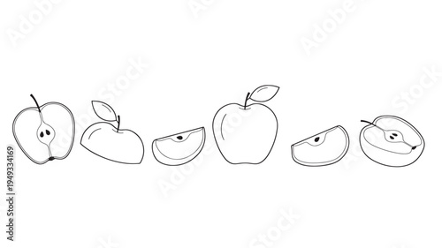 Apples presented as whole, sliced, and halved fruits in a stylized line art illustration for graphic design purposes.