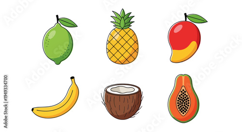 Colorful tropical fruits illustration
