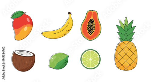 Colorful tropical fruits illustration