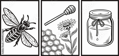 A detailed black and white illustration of various elements associated with bees and honey. The image showcases six distinct elements arranged in a rectangular grid. At the top left, a detailed fronta