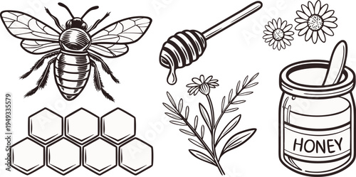 A detailed black and white illustration of various elements associated with bees and honey. The image showcases six distinct elements arranged in a rectangular grid. At the top left, a detailed fronta