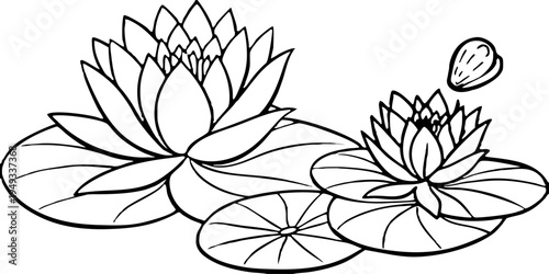A detailed black and white illustration of water lilies. The image is centered with a large, fully bloomed water lily and a smaller, closed bud on the left side. Several lily pads are scattered, surro